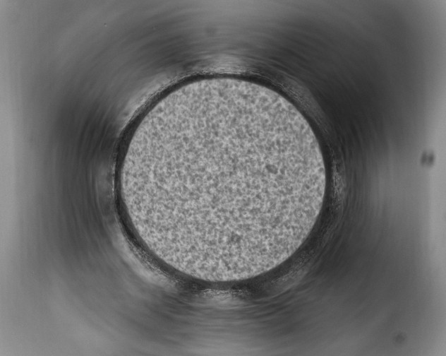 X0000115380534200911241306