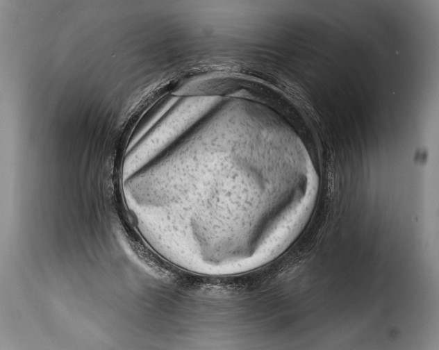 X0000115380538200911241306