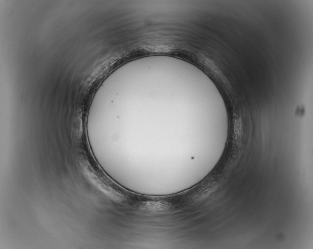 X0000115380541200911241306