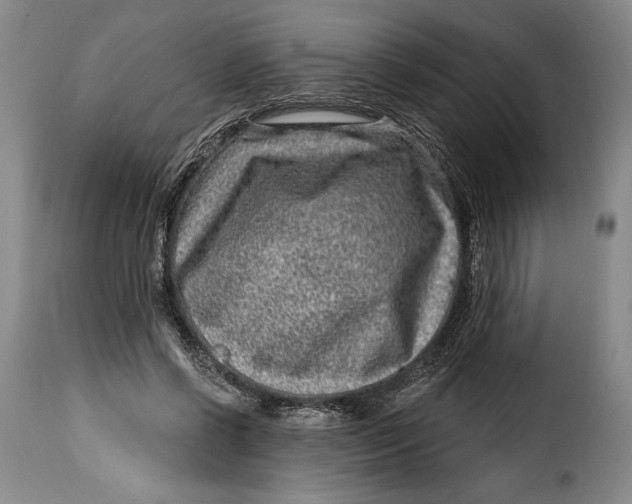 X0000115380542200911241306