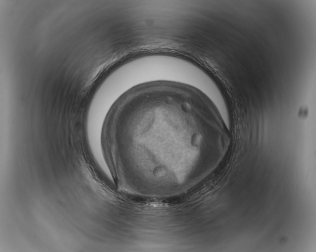 X0000115380543200911241306