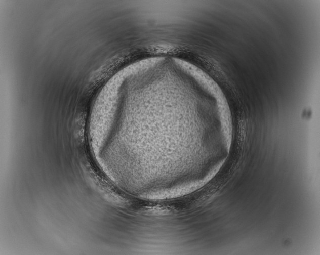 X0000115380545200911241306