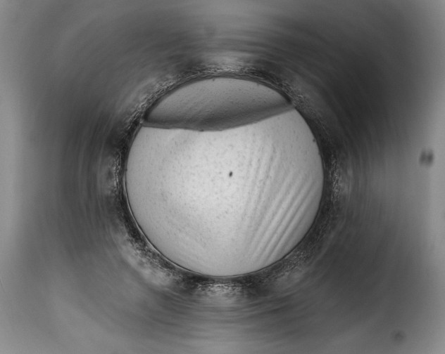 X0000115380546200911241306