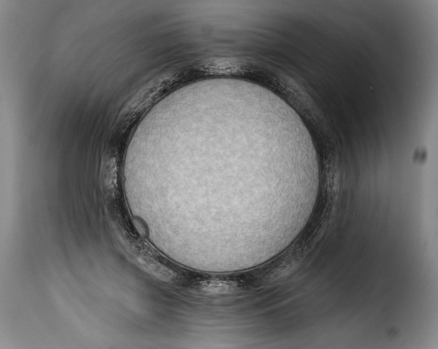 X0000115380549200911241306