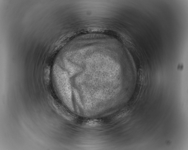 X0000115380550200911241306