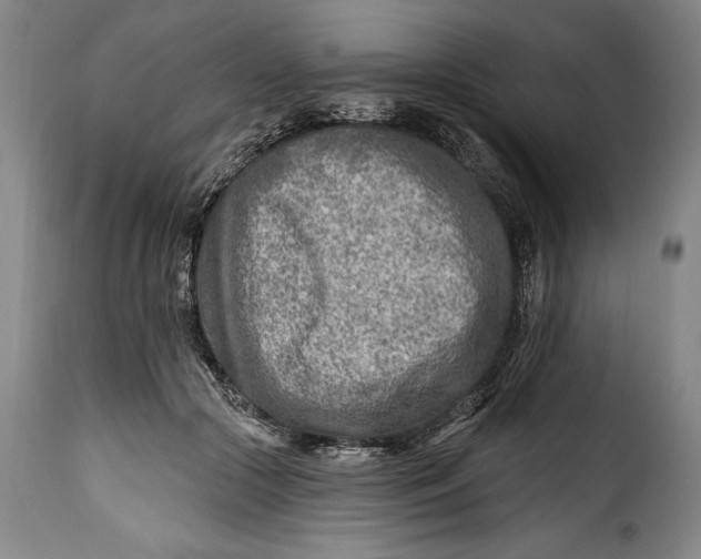 X0000115380553200911241306