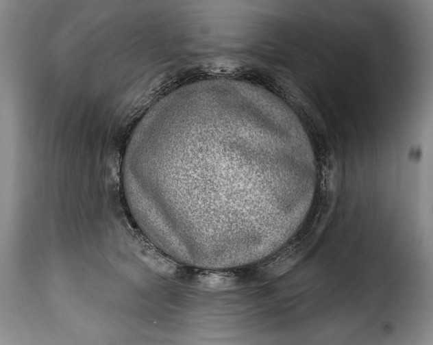 X0000115380561200911241306