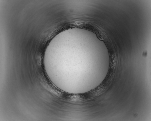 X0000115380562200911241306