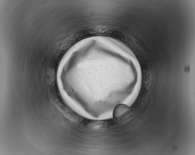 X0000115380563200911241306