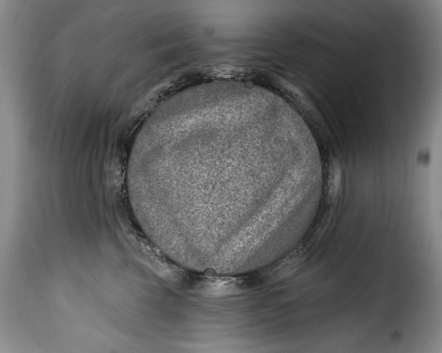 X0000115380569200911241306