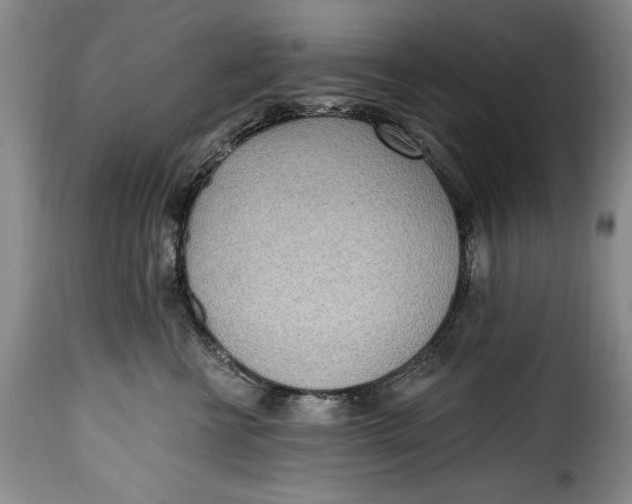 X0000115380570200911241306