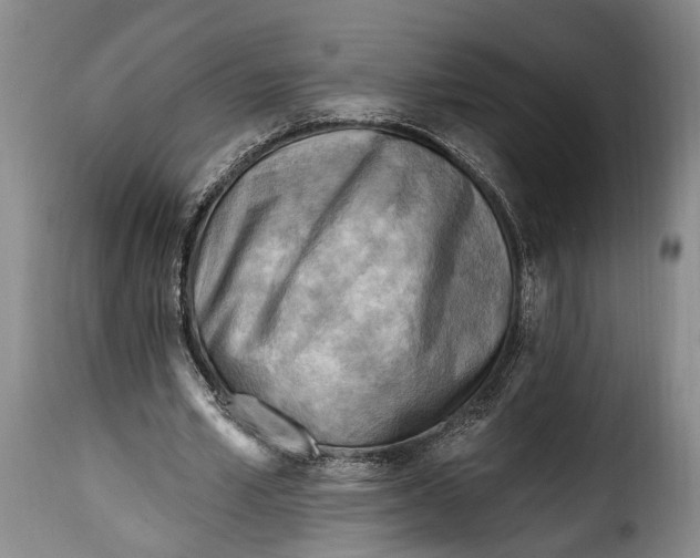 X0000115380581200911241305