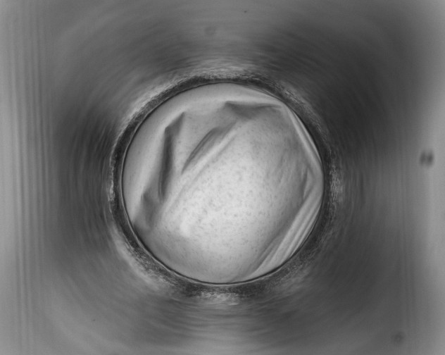 X0000115380582200911241305