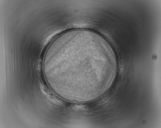 X0000115380583200911241305