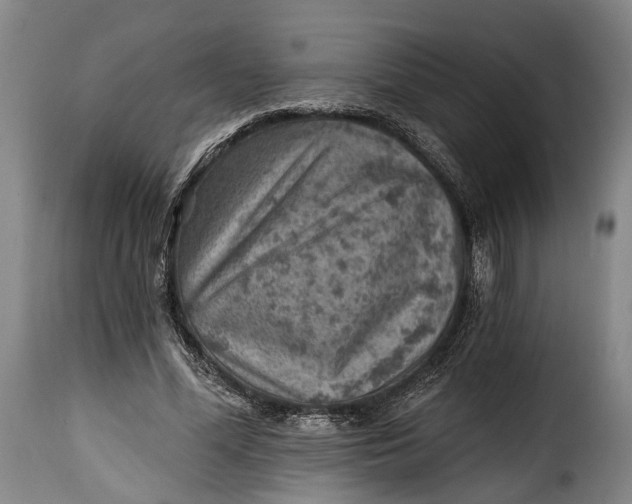 X0000115380588200911241305