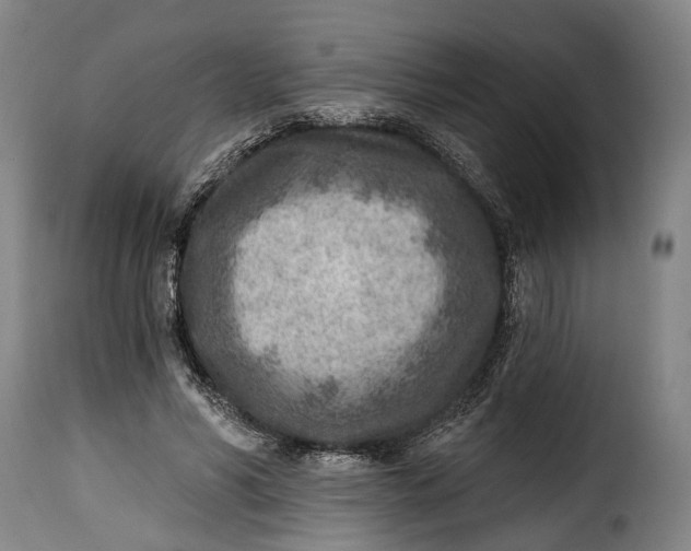 X0000115380590200911241305