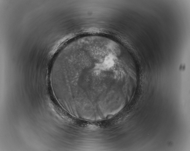 X0000115380592200911241305