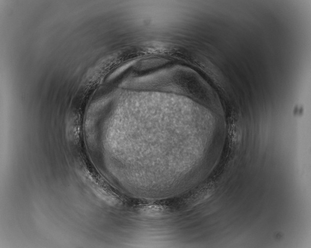 X0000115380593200911241305