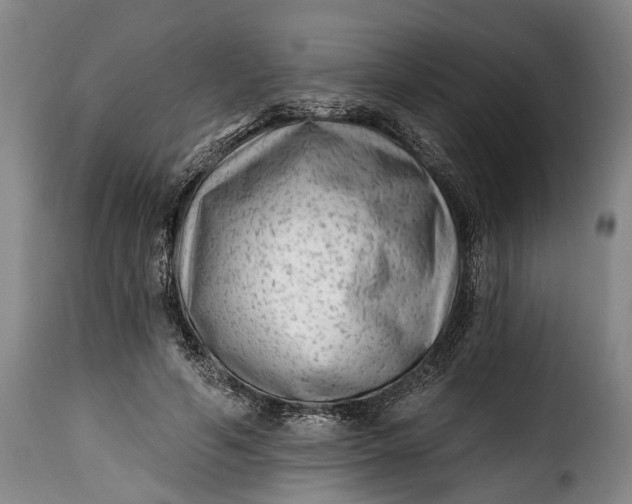 X0000115380594200911241305