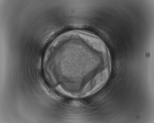 X0000115380596200911241305