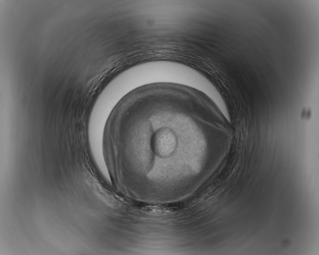 X0000115380601200911241305