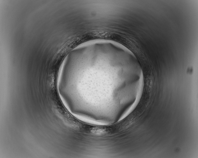 X0000115380602200911241305