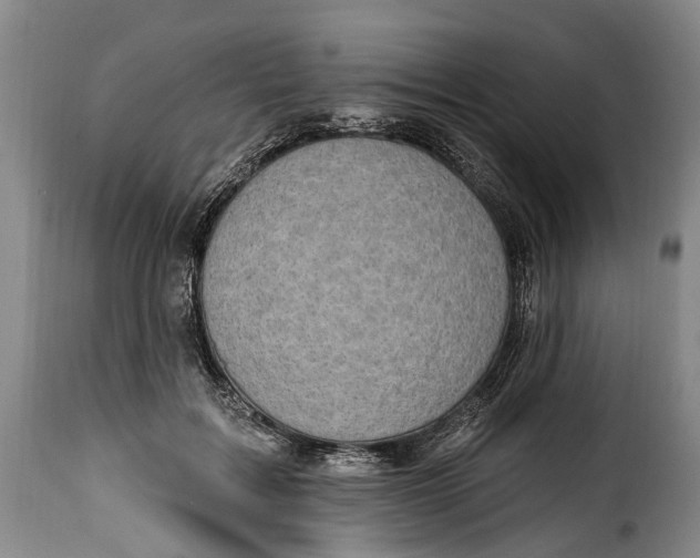 X0000115380603200911241305