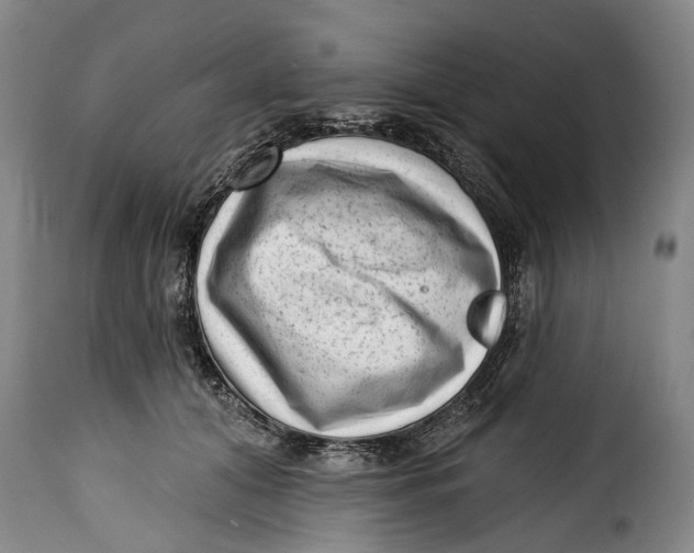 X0000115380608200911241305