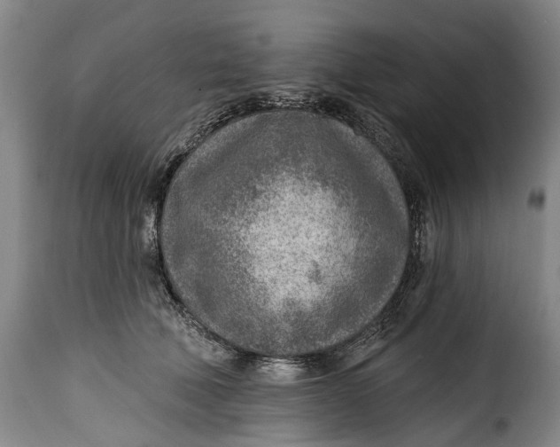 X0000115380610200911241305