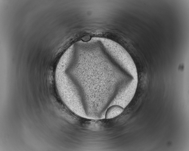 X0000115380612200911241305