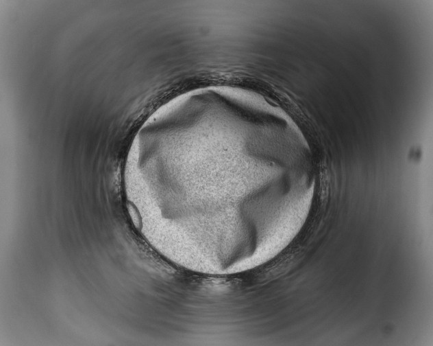 X0000115380613200911241305