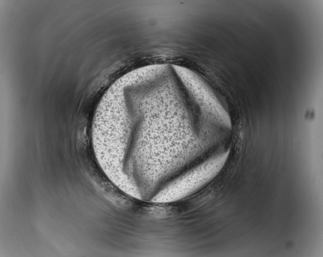 X0000115380615200911241305