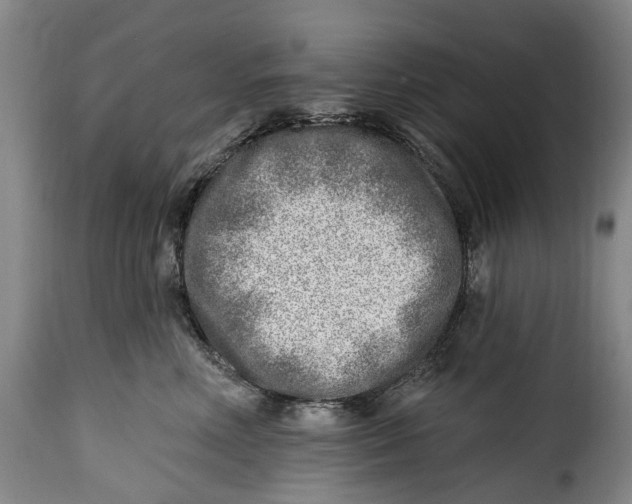 X0000115380618200911241305