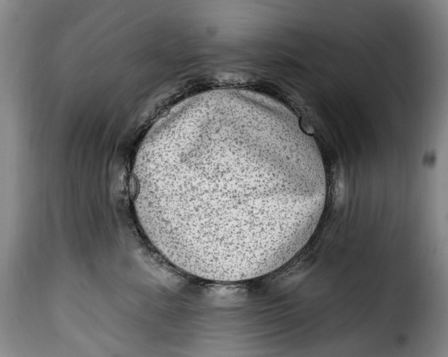 X0000115380619200911241305