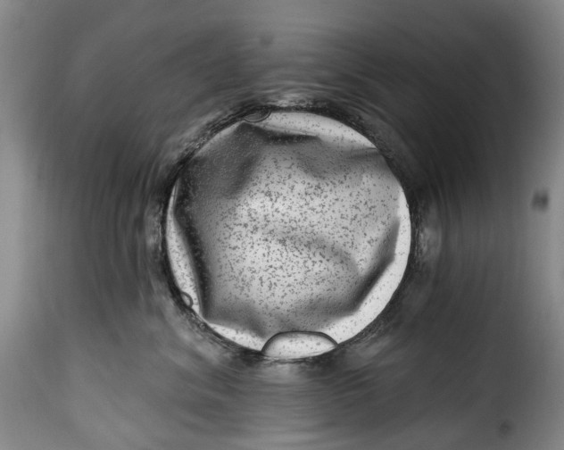 X0000115380620200911241305