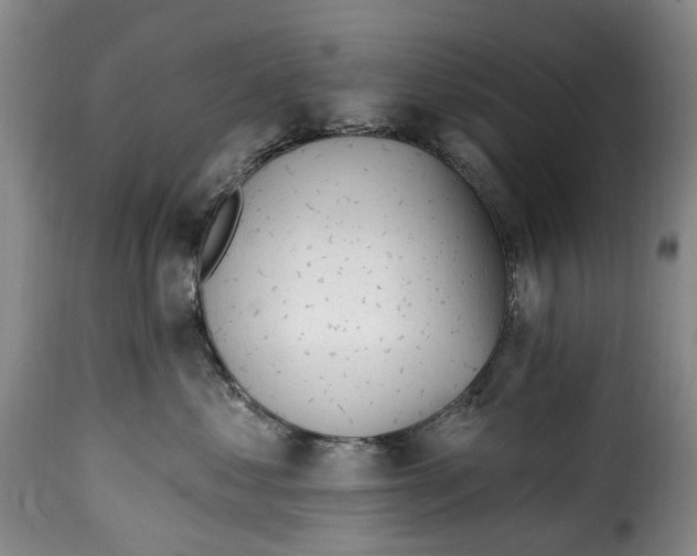 X0000115380621200911241305