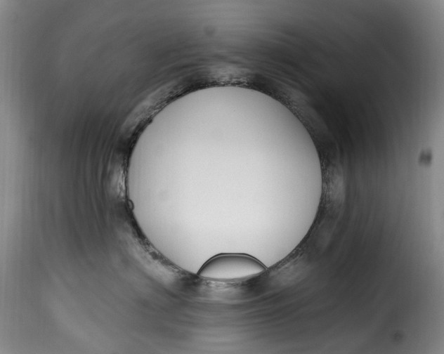 X0000115380622200911241305