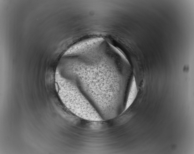 X0000115380623200911241305