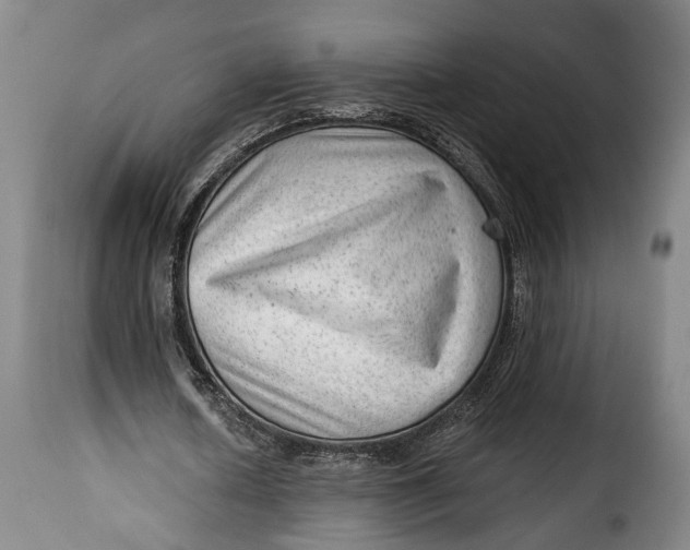 X0000115380626200911241304