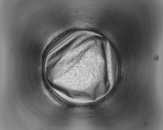 X0000115380630200911241304