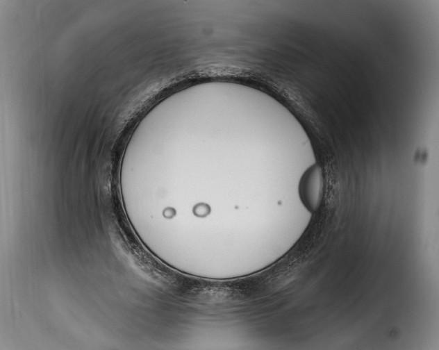 X0000115380631200911241304