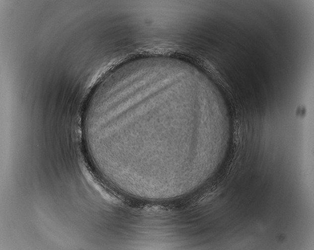 X0000115380634200911241304