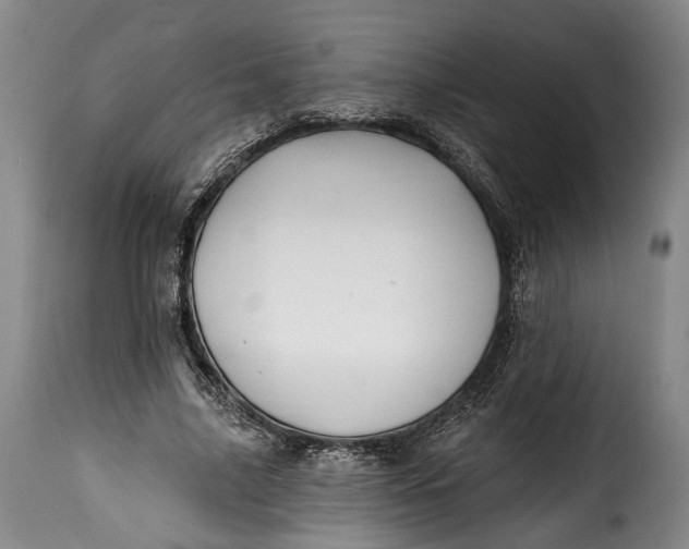 X0000115380635200911241304