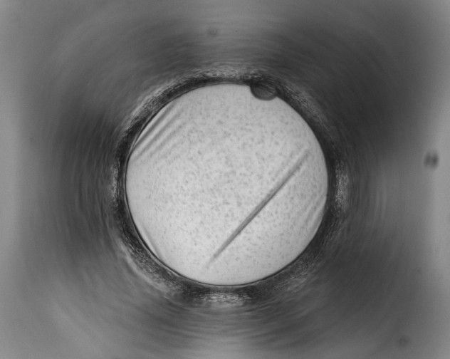 X0000115380636200911241304