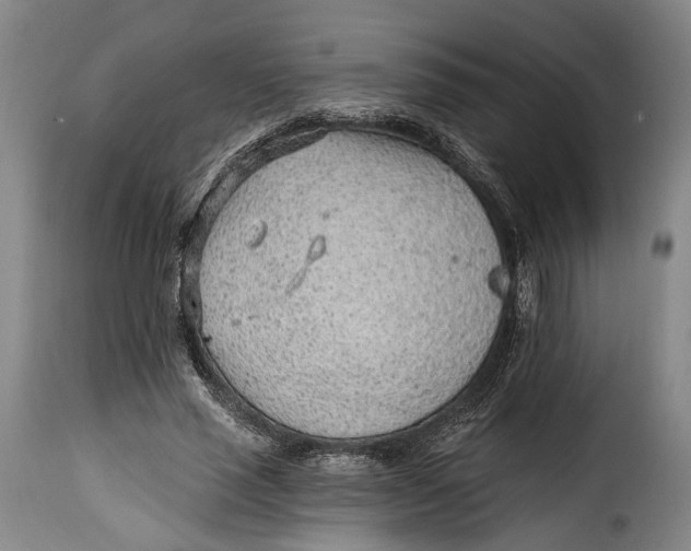 X0000115380637200911241304