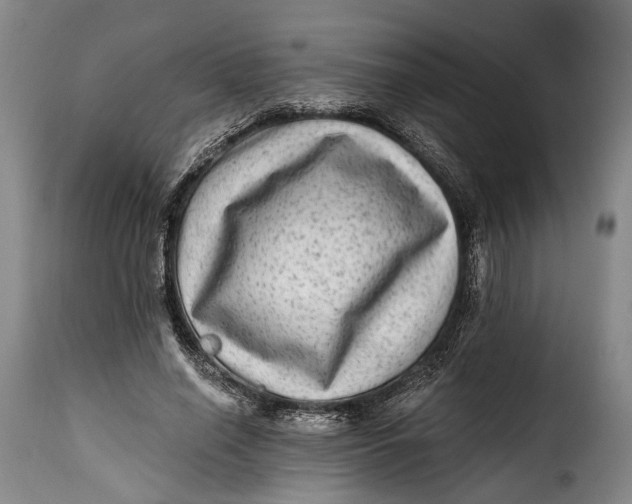 X0000115380638200911241304