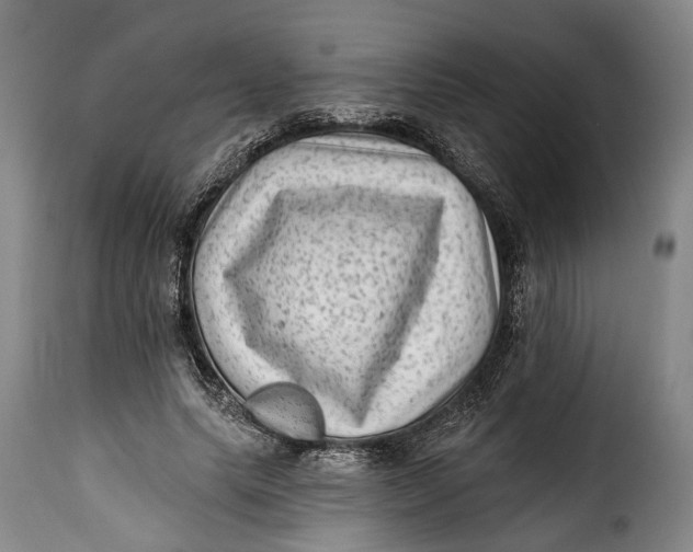 X0000115380639200911241304