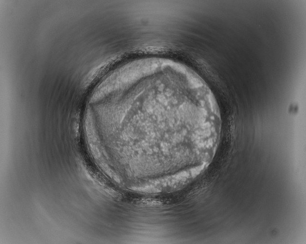 X0000115380640200911241304