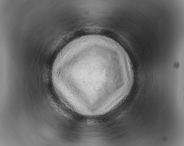 X0000115380641200911241304