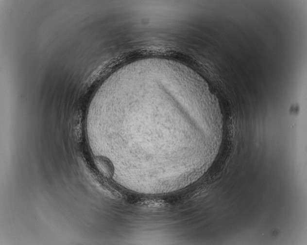 X0000115380642200911241304